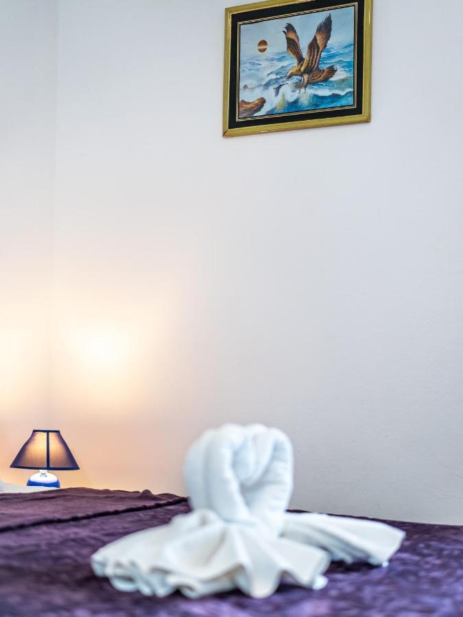 Apartmani Vinko ביבינייה מראה חיצוני תמונה
